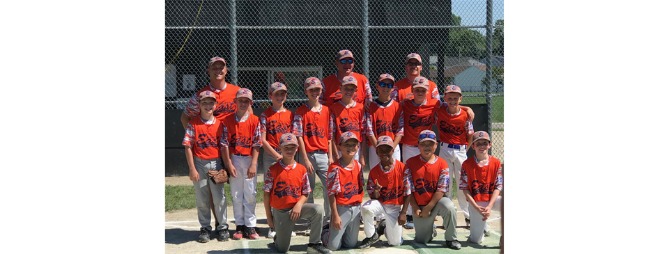 2019 10U District 2 champs